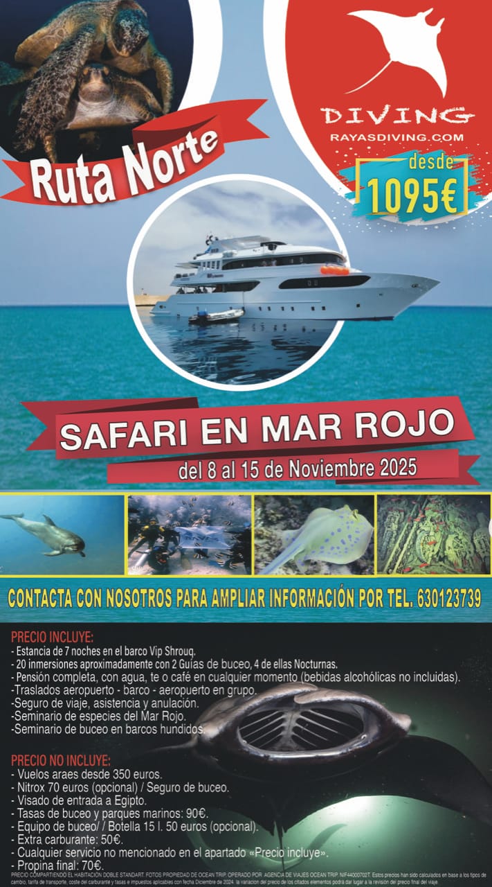 CRUCERO DE BUCEO DEL 8 AL 15 DE NOVIEMBRE
